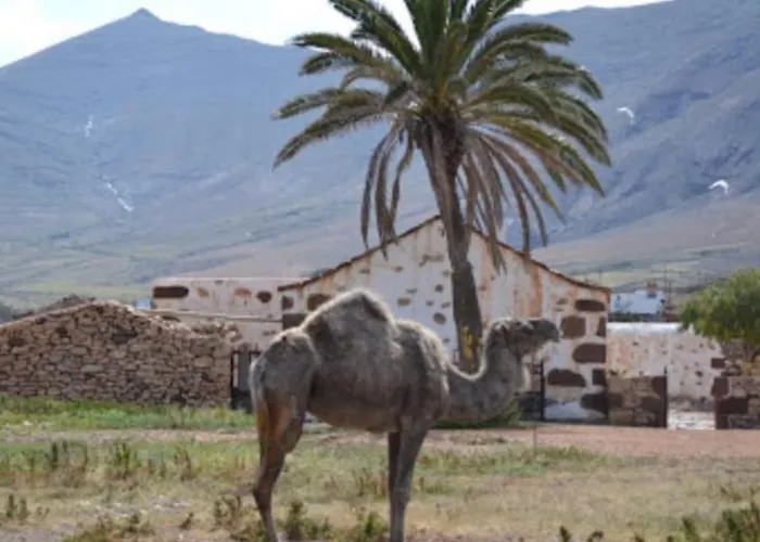 Apartment Vv Casa Maruca Accesibilidad - Playa 5 Min *