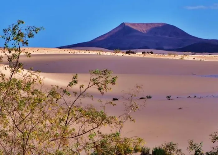 Apartmán Vv Casa Maruca Accesibilidad - Playa 5 Min